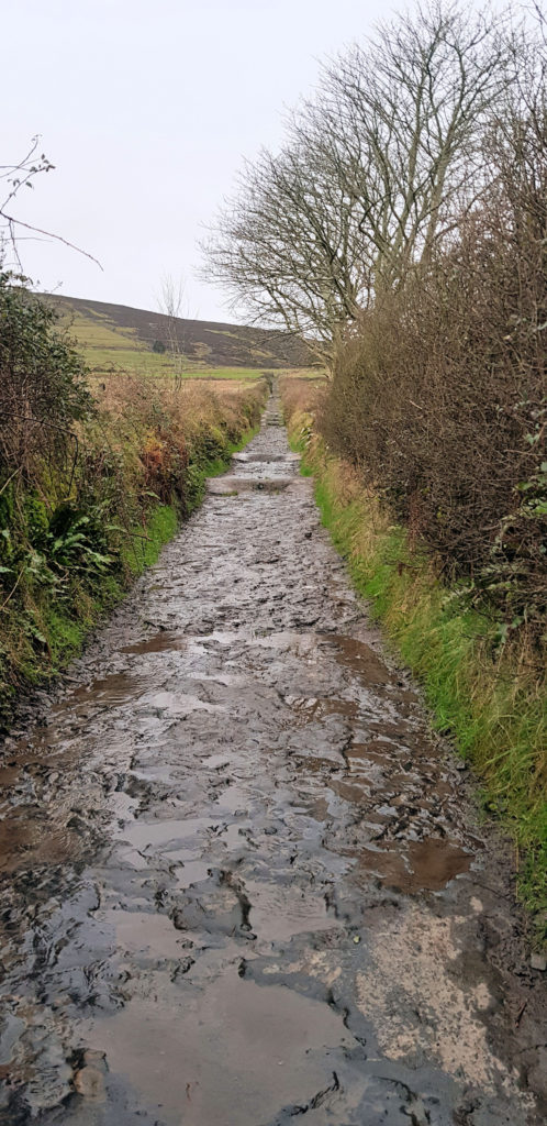 Path up to Queen Maeve's Tomb