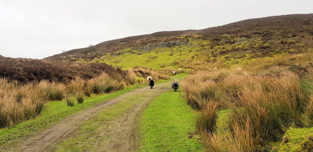 The Walking Track To The Carrowkeel Passage Tombs