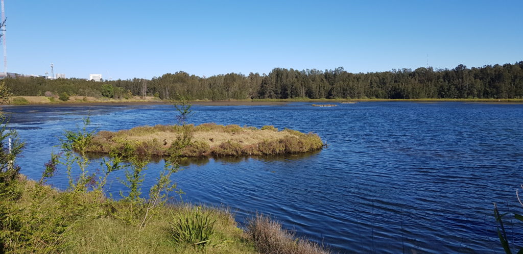 Bennelong Pond in the Badu Mangroves
Sydney Olympic Park Area Things to Do