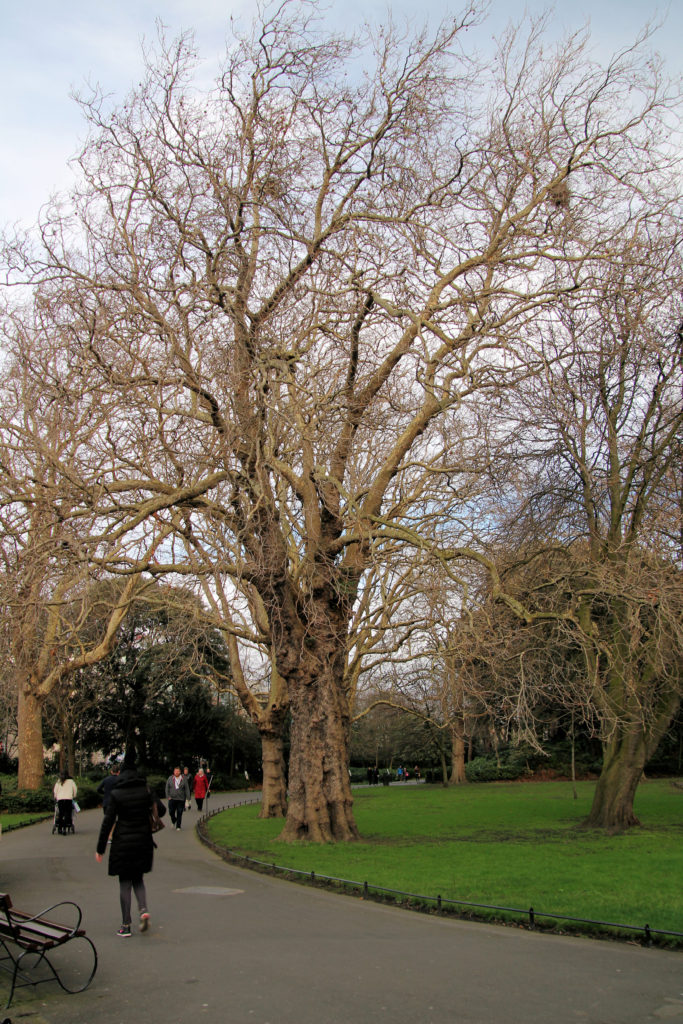 St Stephen's Green Dublin Ireland Driving Tour of Ireland