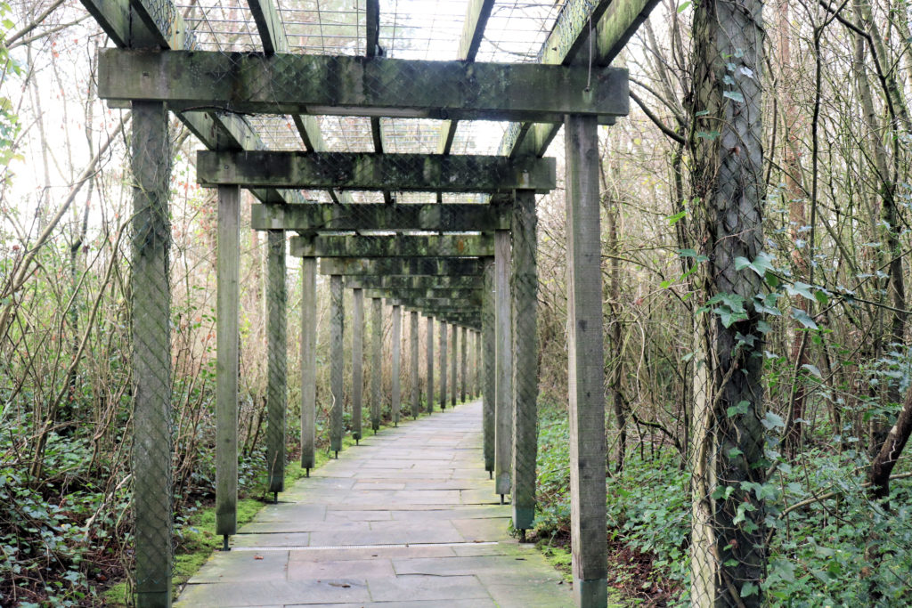 Walkway into Brú na Bóinne - Megalithic Tomb Visitors' Centre