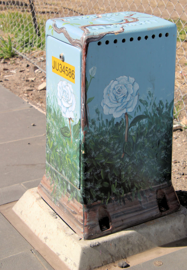 White Roses Power Box