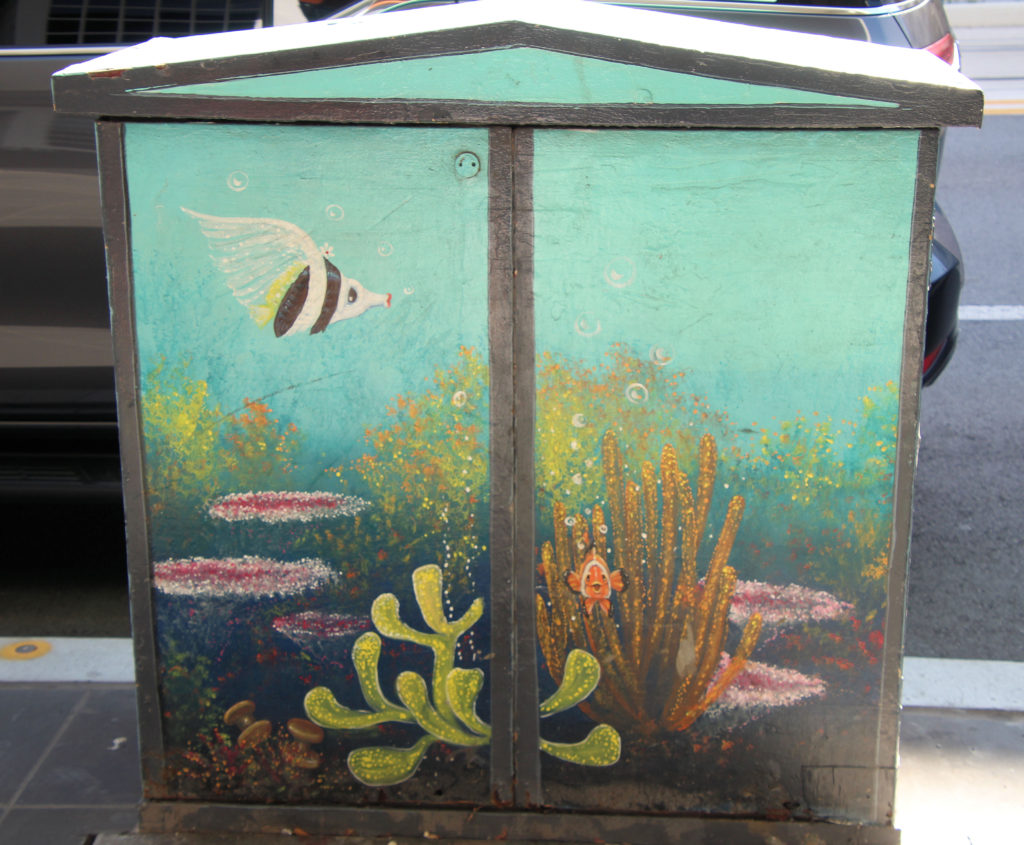 Angel Fish Power Box