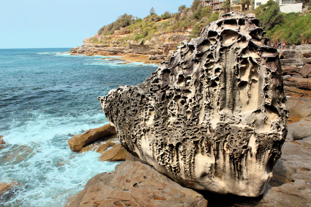 Weathered Rock South of Bondi Beach