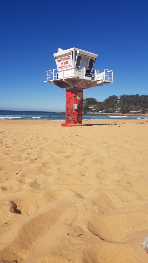 Shark Tower on Avoca Beach