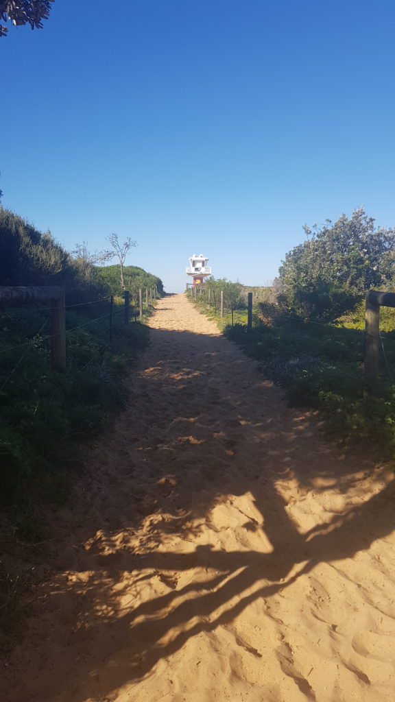 Sandy Track Down to Avoca Beach