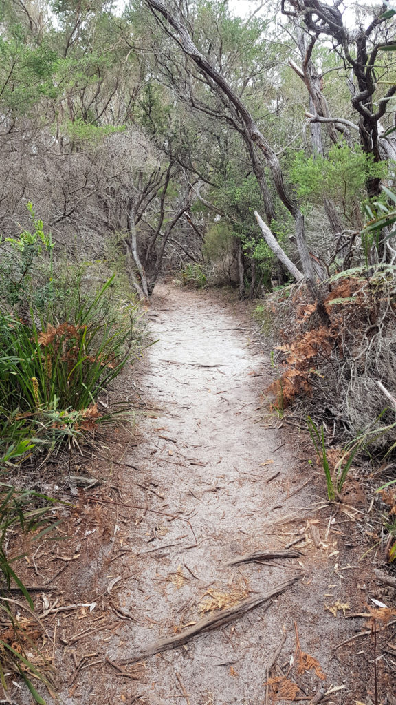 Gosangs Tunnel Track