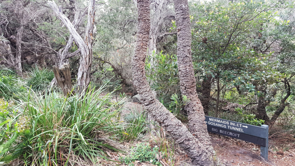 Gosangs Tunnel Track