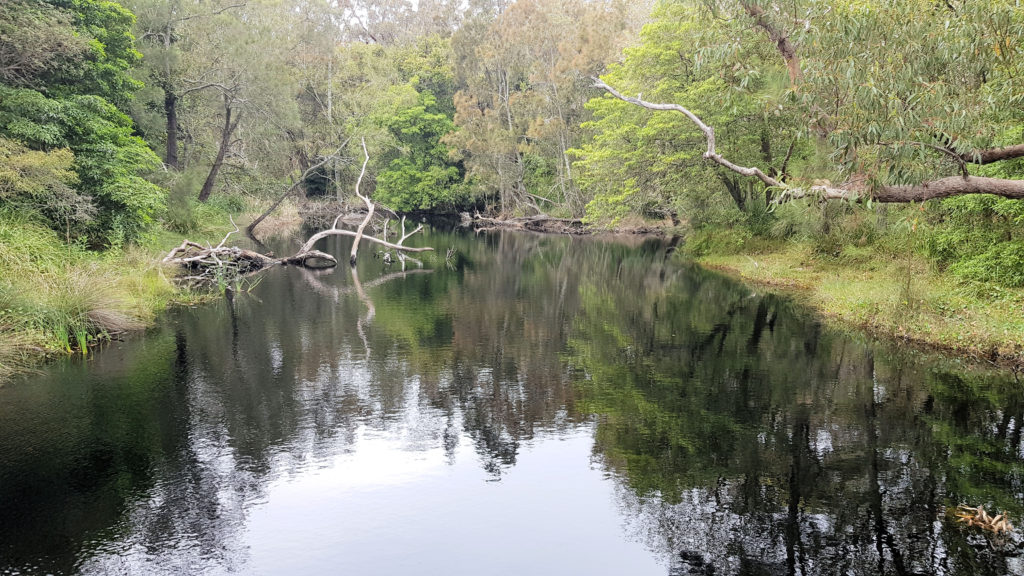 Abrahams Bosom Creek