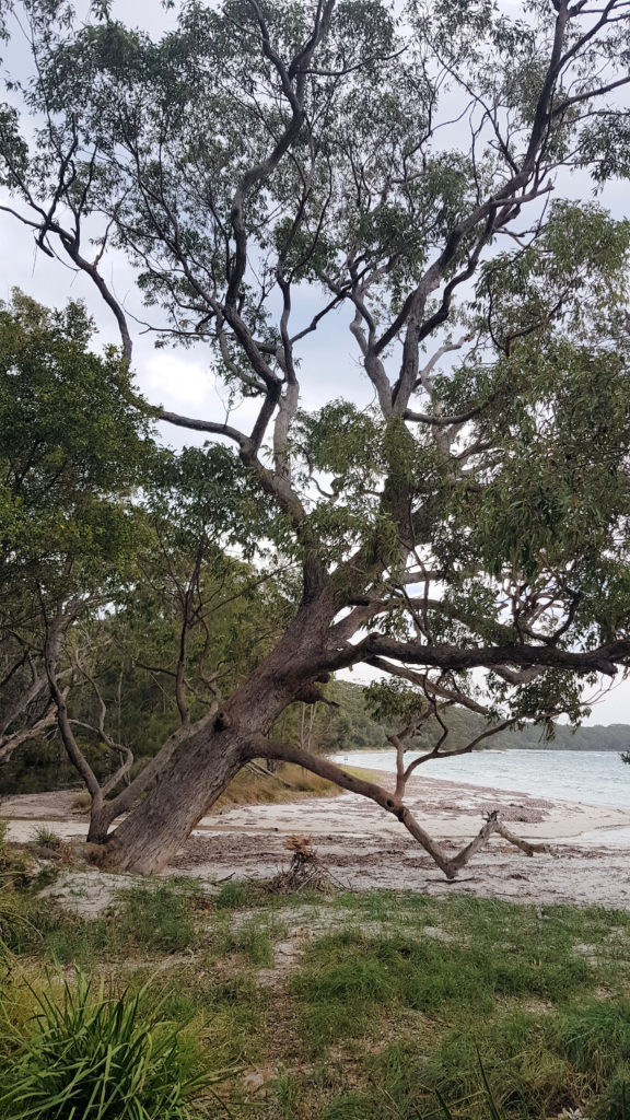 Beach at the Hole in the Wall  Jervis Bay 