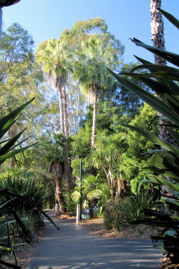 Kokoda Track Memorial Walk Rhodes