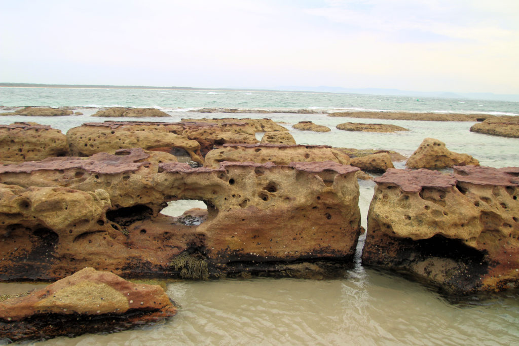 Currarong Rock Pools Beecroft Peninsula New South Wales Australia