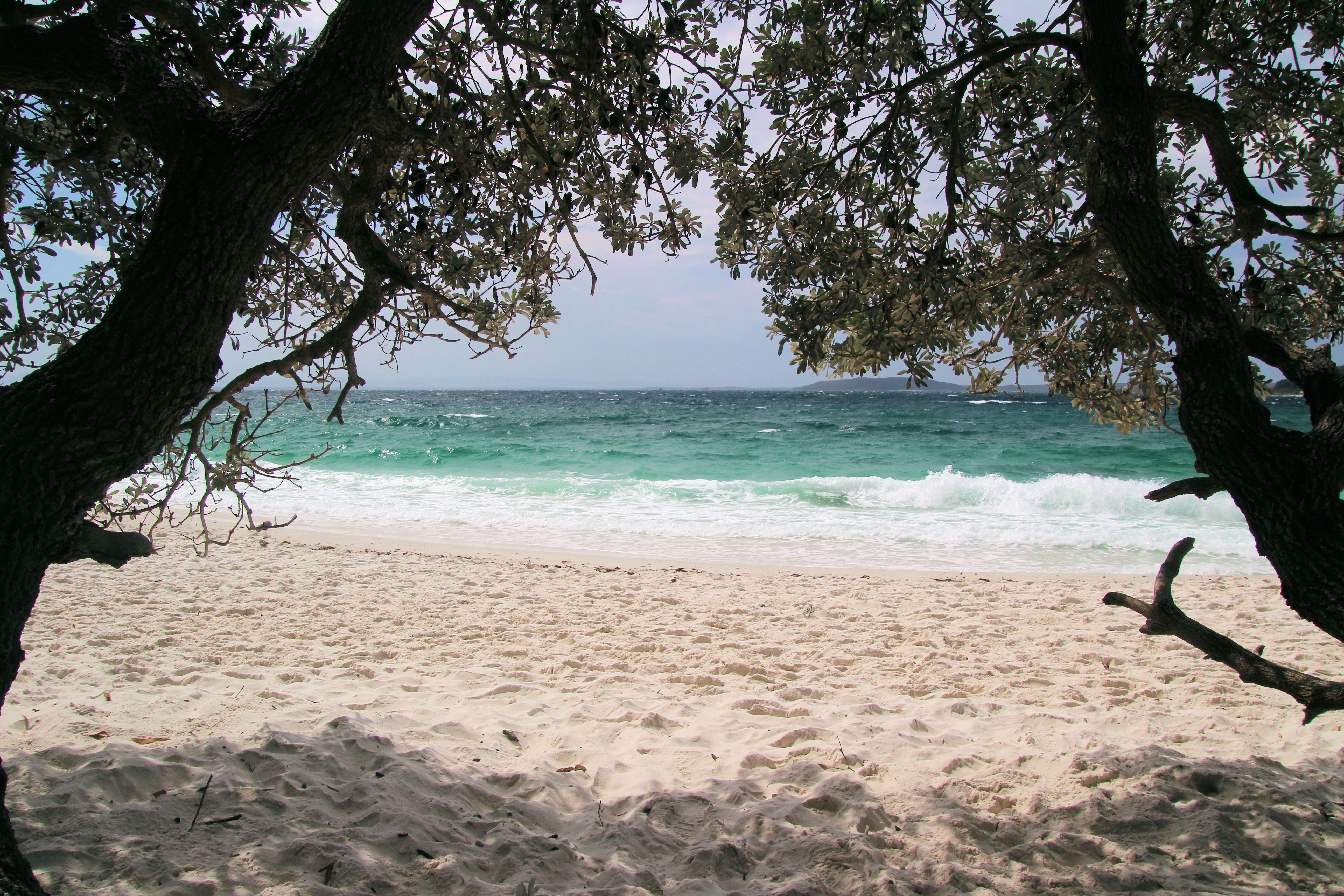 Shady Trees at Murrays Beach Jervis Bay