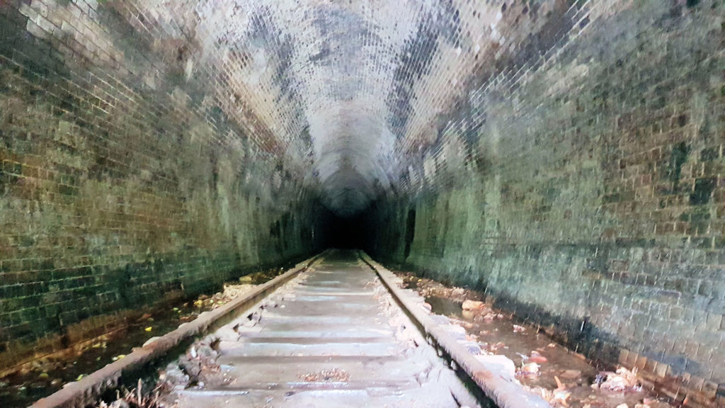 Looking Down the Tunnel From Inside