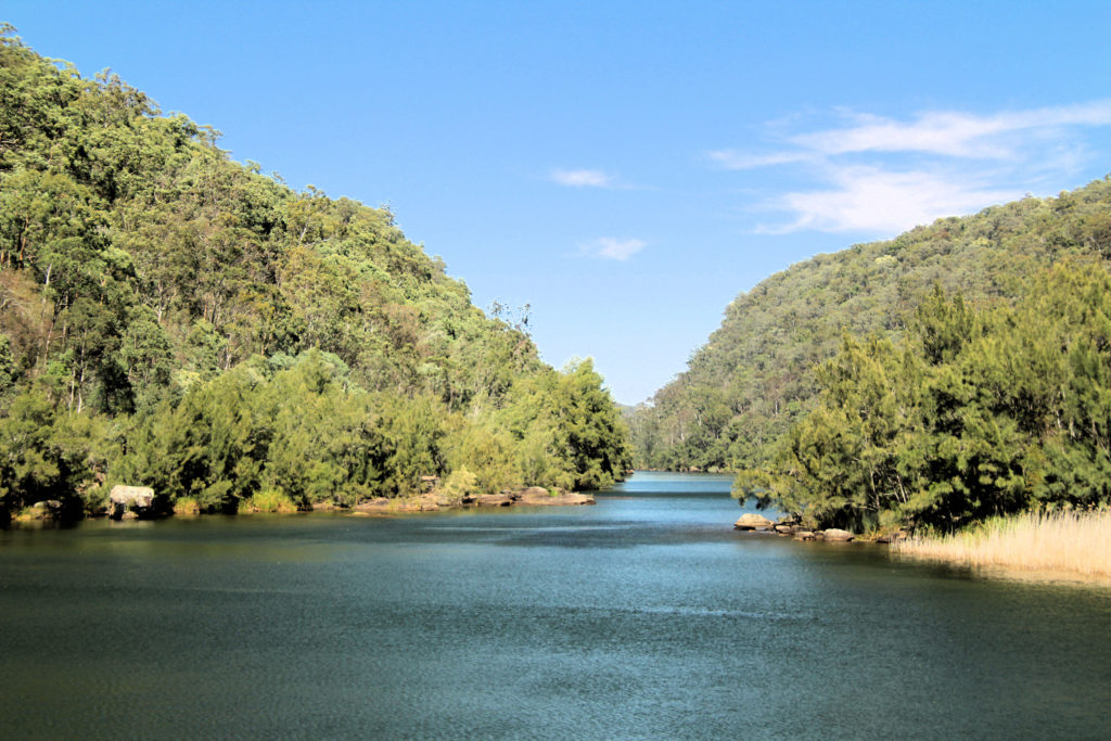 Narrow Part of the Nepean River