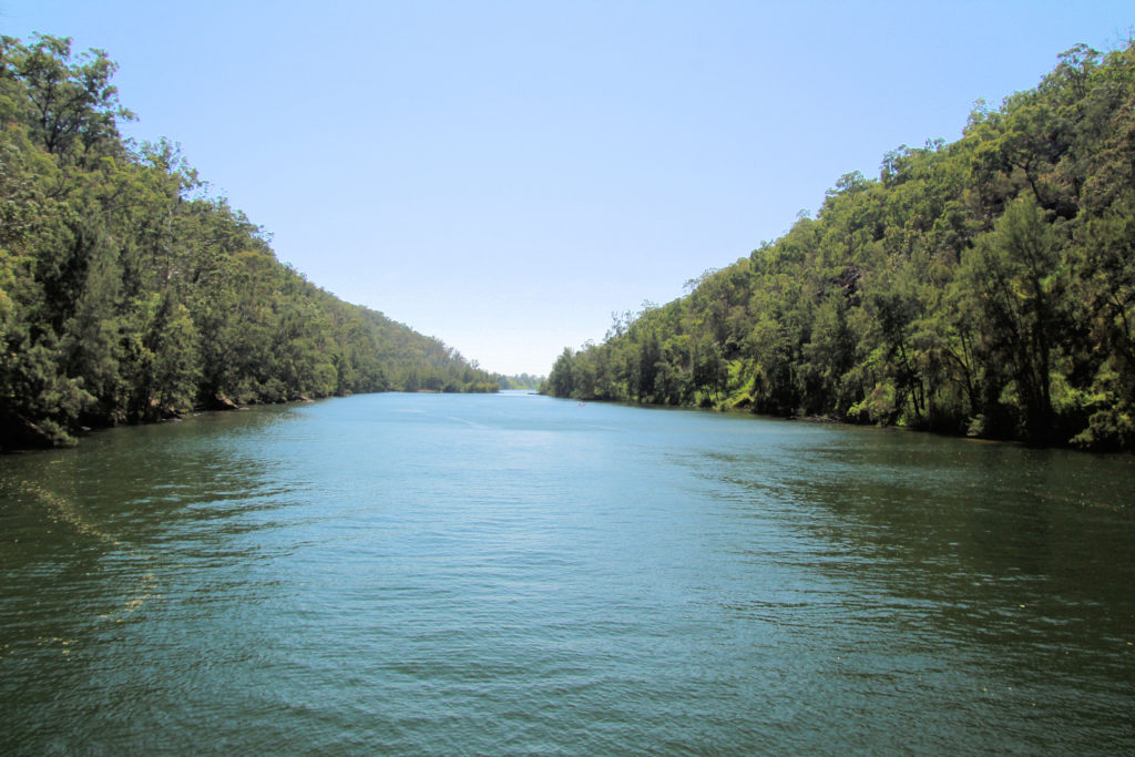 Nepean River From Nepean Belle Paddlewheeler