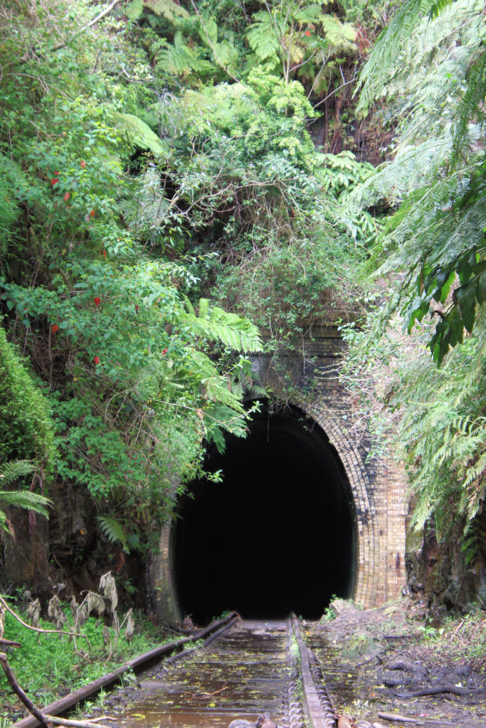 The Helensburgh Glow Worm Tunnel