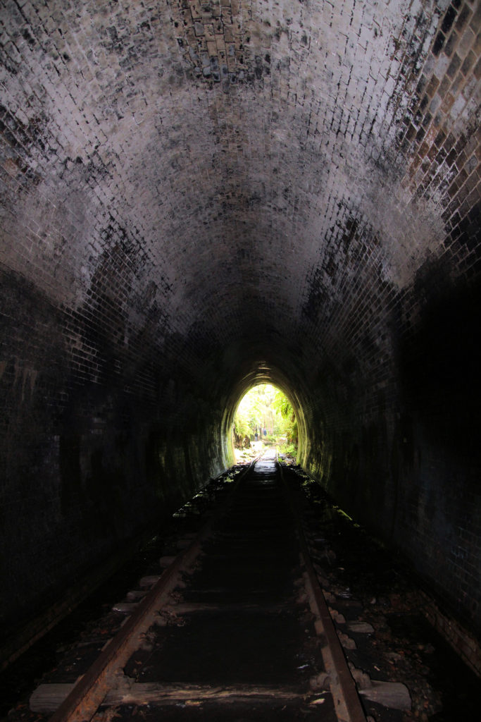 Looking Back Out of the Tunnel