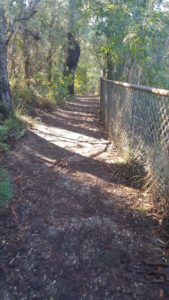 Walking Track at Fitzroy Falls