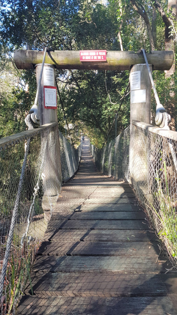 Suspension Bridge at Pioneer Village