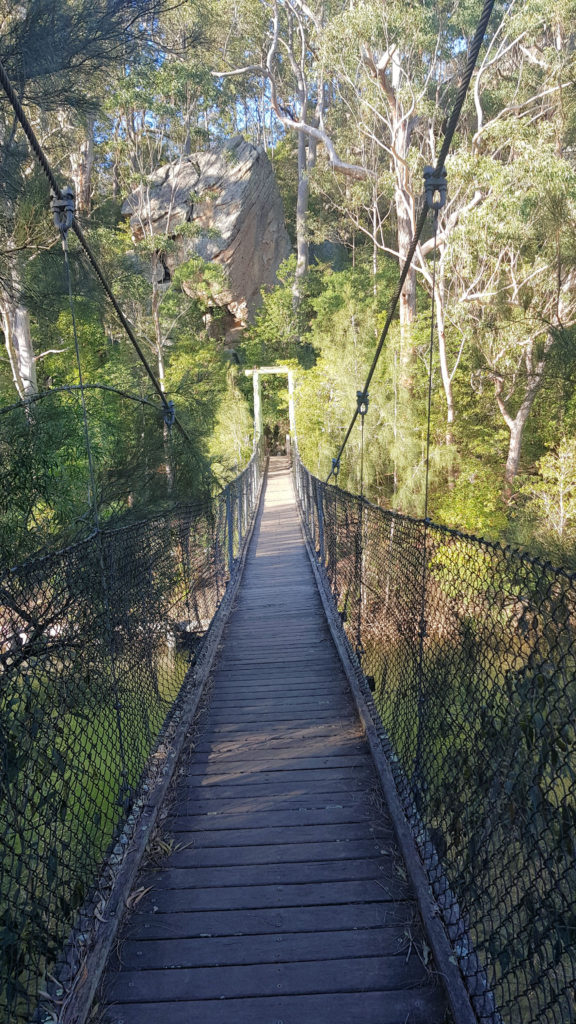 Suspension Bridge Across Nowra Creek