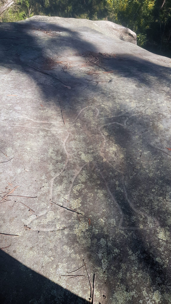 Aboriginal Rock Engravings