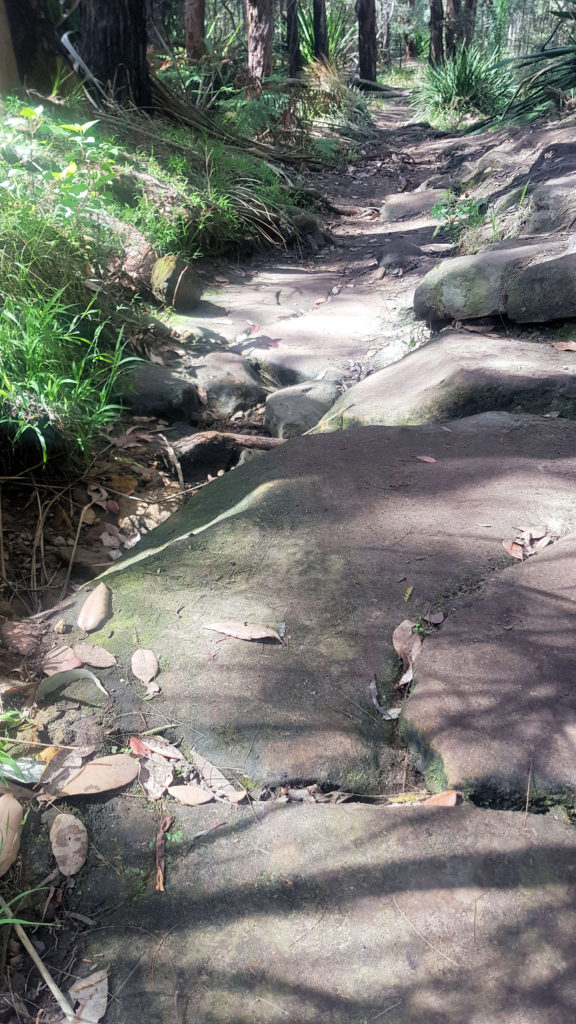 Karloo Pools Walking Track