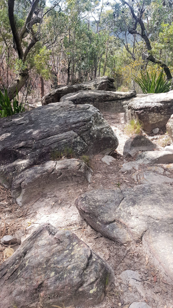 Big Rocks on the Path