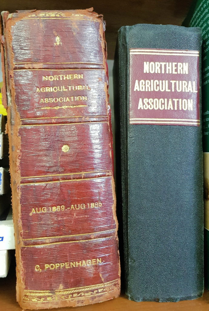 Old Books in the Records Room Singleton Museum