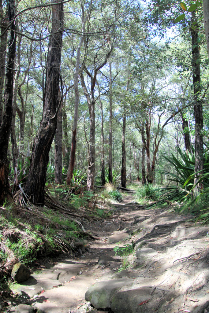 Upper Flat Section of the Track