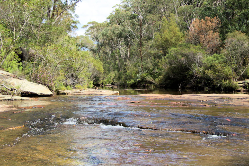 Kangaroo Creek next to Karloo Pools