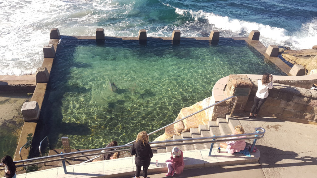 Ross Jones Rockpool Coogee