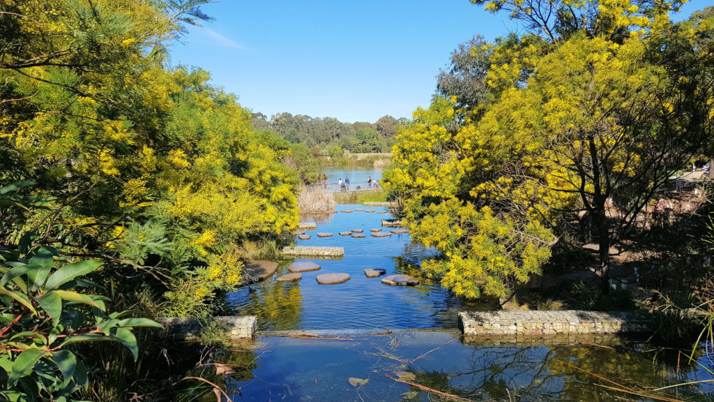 Wetlands