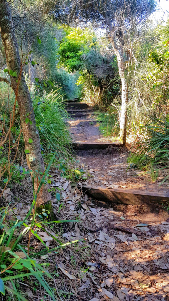 Walking Track to Crookhaven Lighthouse