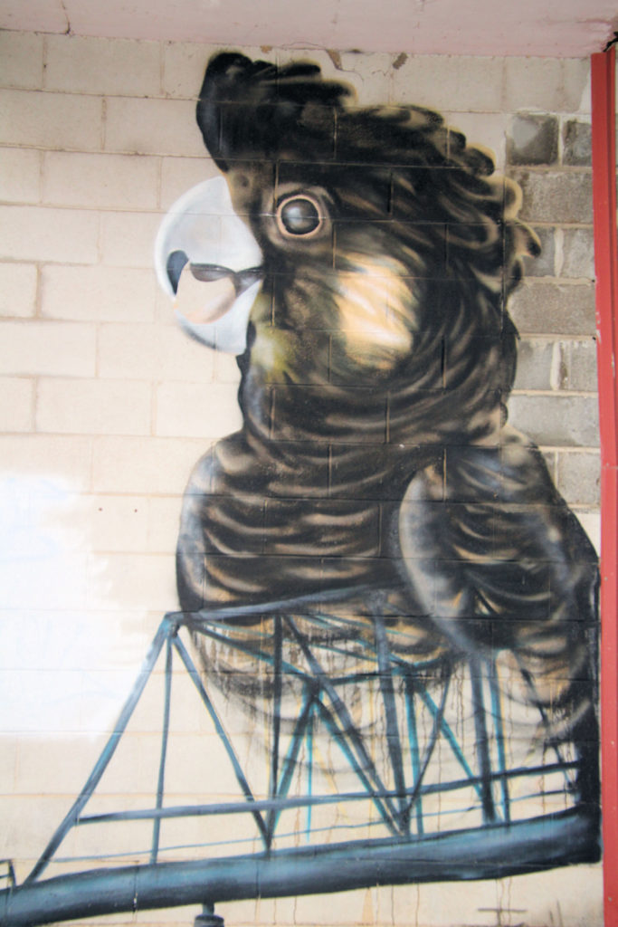 Cockatoo Street Art in Nowra