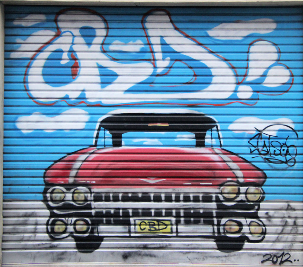 Car on Garage Door Street Art in Nowra