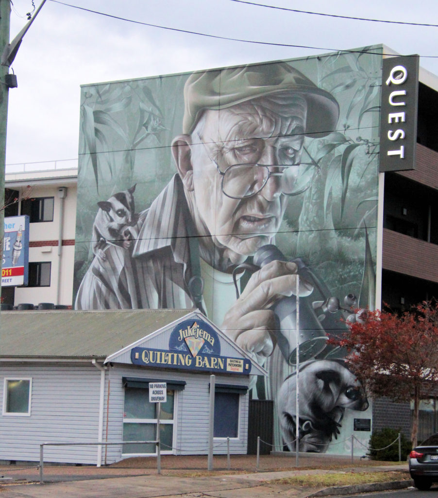 Quest Street Art in Nowra