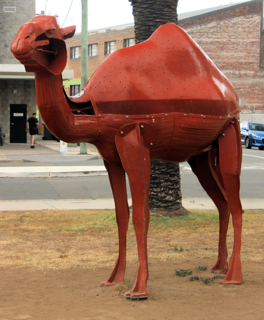 Camel Sculpture Outside the Museum