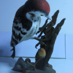 Lesser Spotted Woodpecker Scale Model by Gunze Sangyo