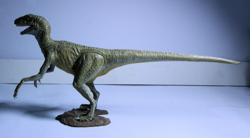 Velociraptor Scale Model by Lindberg