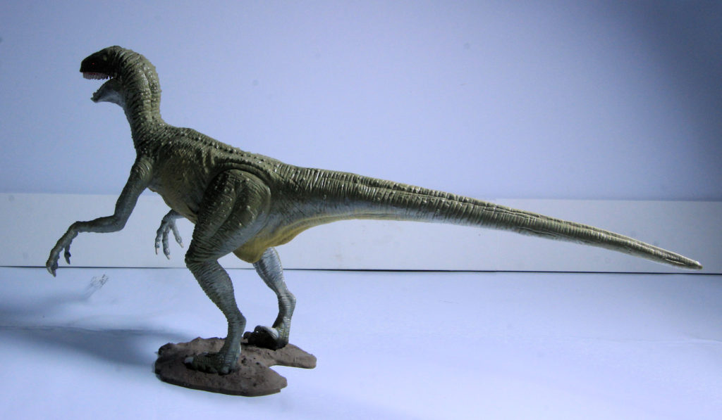 Velociraptor Scale Model by Lindberg