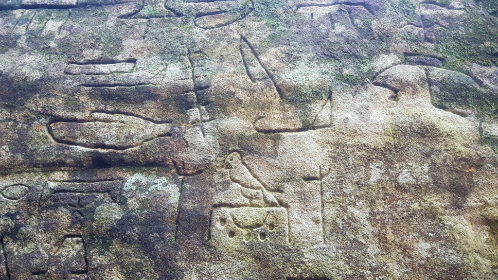 Gosford Glyphs