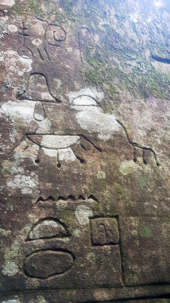 Moss Covered Gosford Glyphs