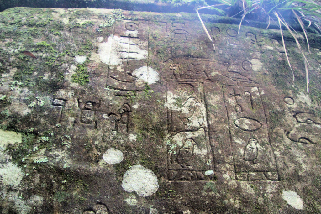 Moss Covered Gosford Glyphs