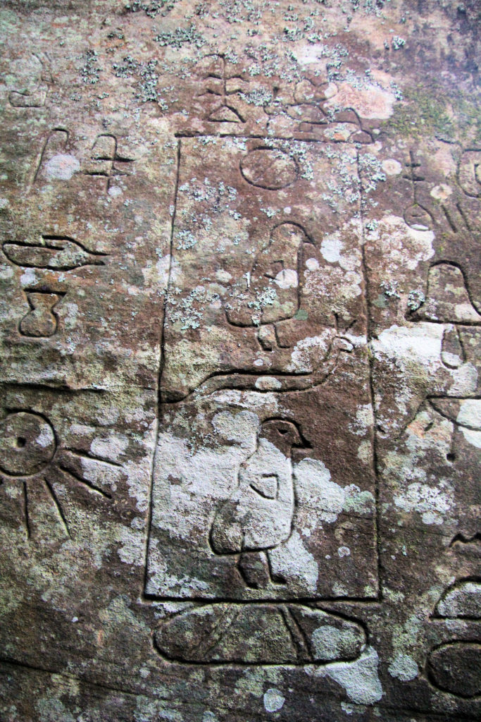 Gosford Glyphs