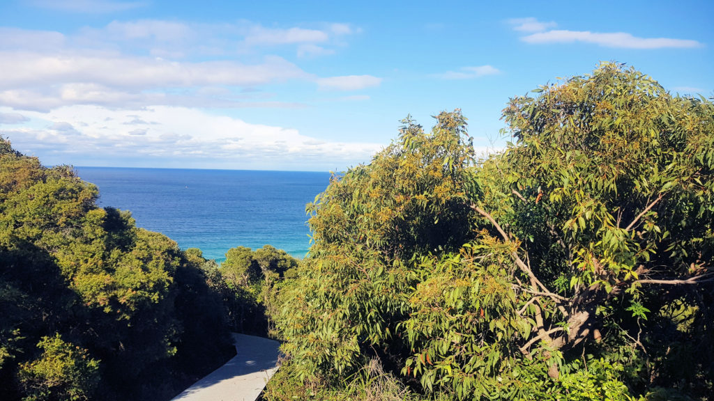 Walking Trail Down to Burwood Beach