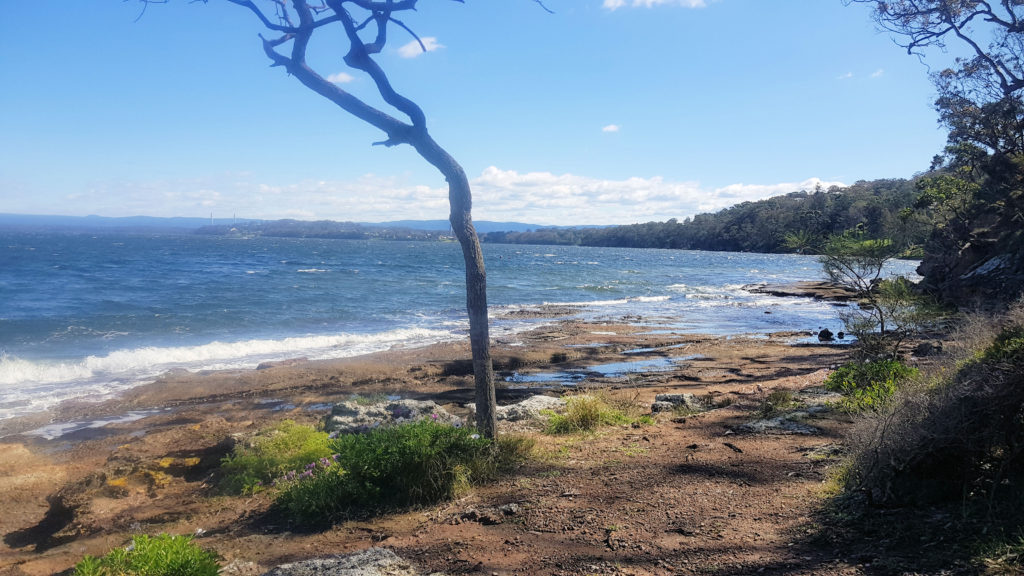 Lake Macquarie State Conservation Area