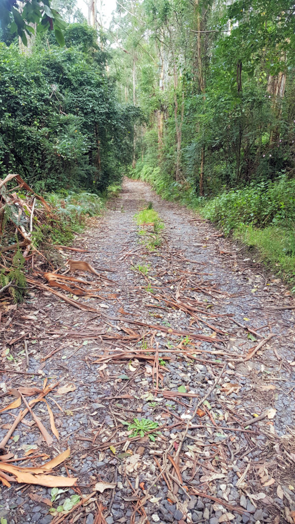 Hawkesbury Track