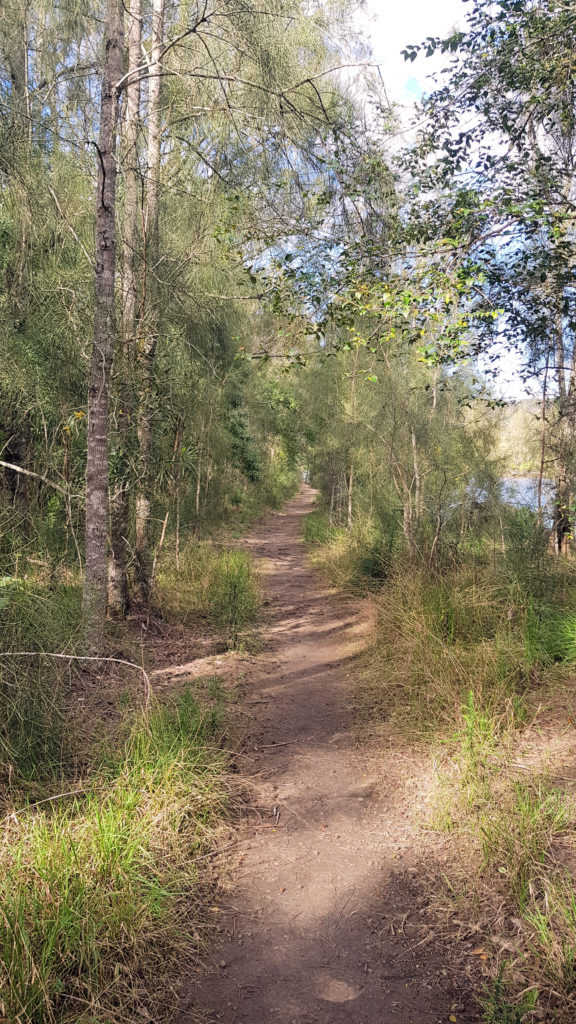 Hawkesbury Track Along Mooney Mooney Creek