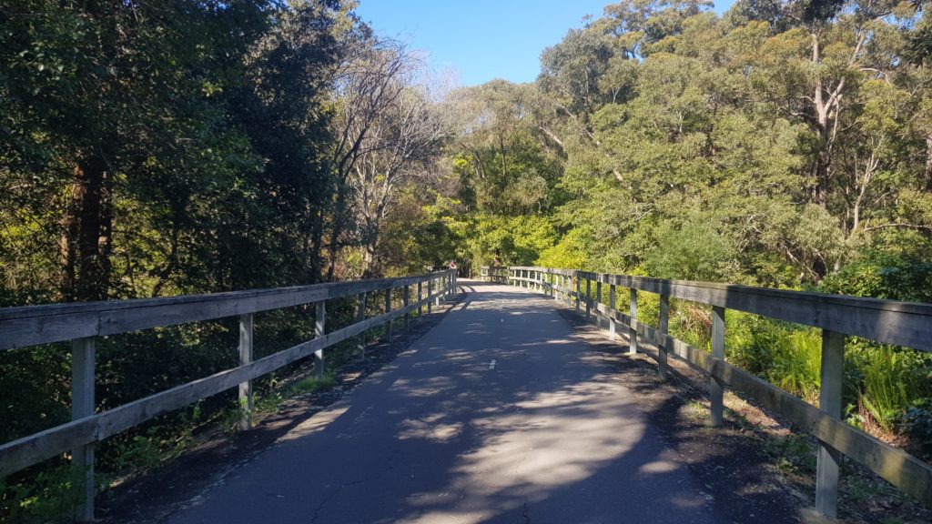 Fernleigh Track